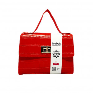 Red Mini Cross Body Bag